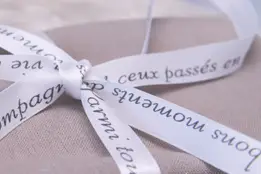 Blanc Organza — photo 5