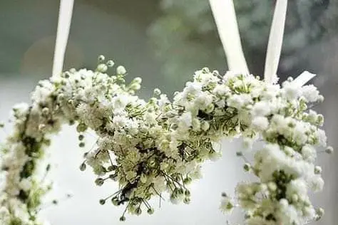 Art Végétal 17 — photo 4