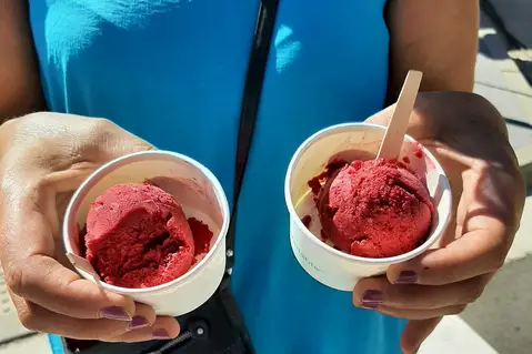 Sorbets paysans Les Délices de la Mielle — photo 5