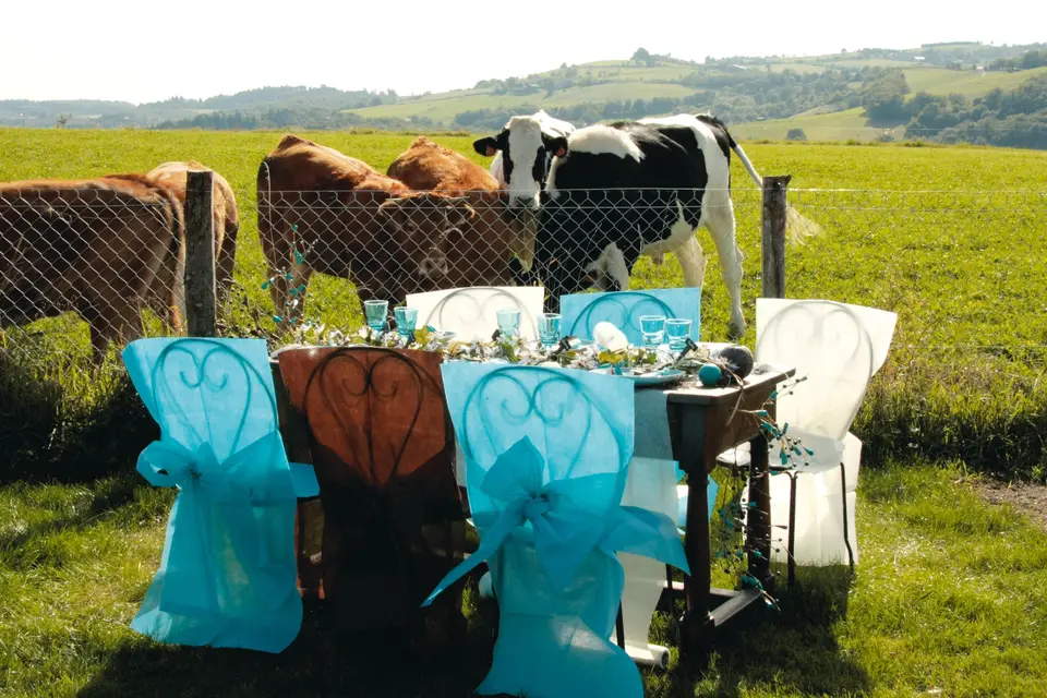 100% Fête — photo 4