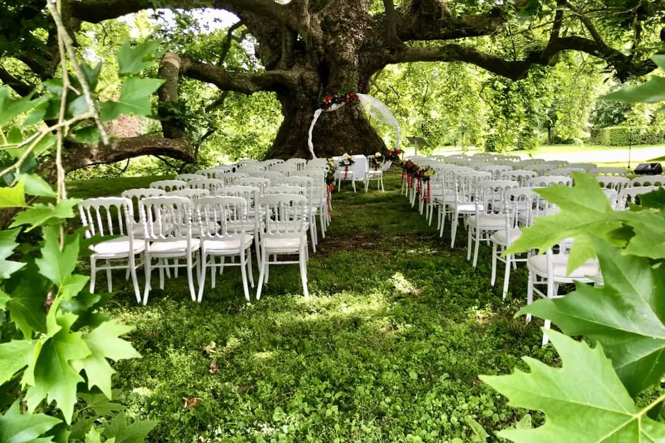 Château d'Aunoy — photo 4