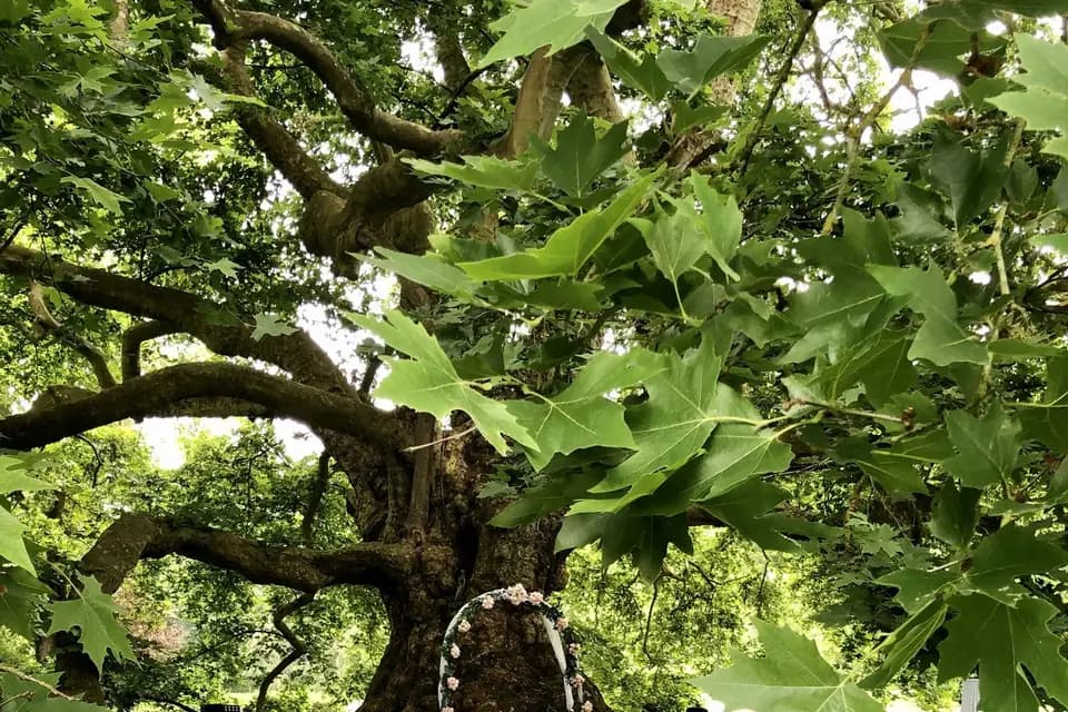 Château d'Aunoy — photo 5
