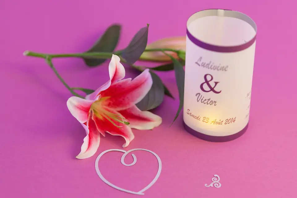 Cart'Envie — photo 3