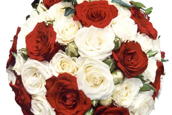 France Fleurs Créations — photo 1