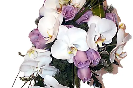 France Fleurs Créations