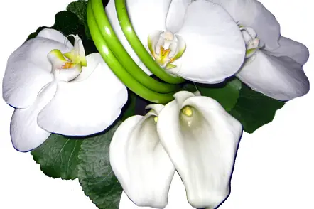 France Fleurs Créations — photo 4