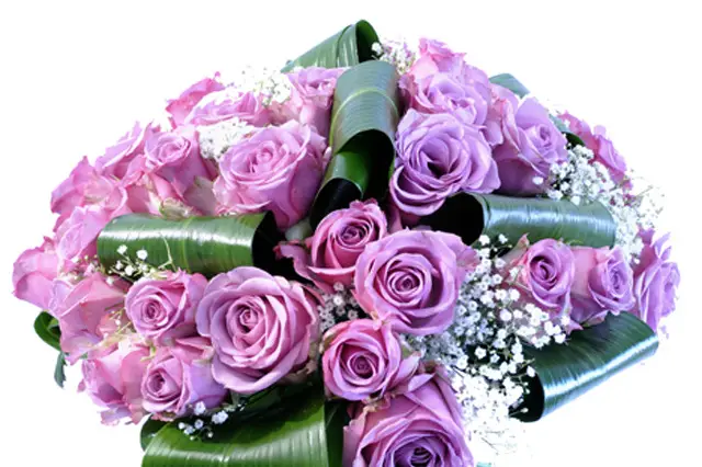 France Fleurs Créations — photo 3