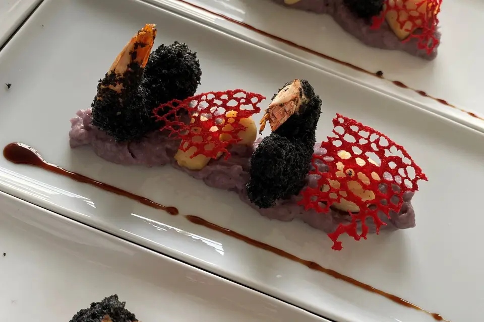 Le Pélican — photo 2