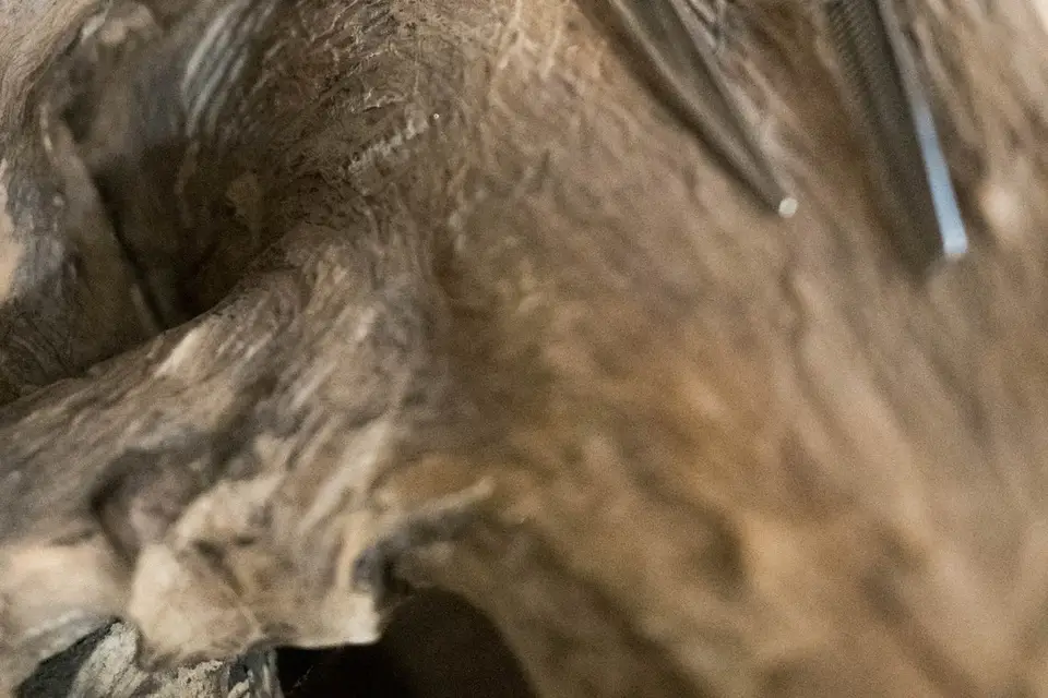 Gaelle Boissavi — photo 8