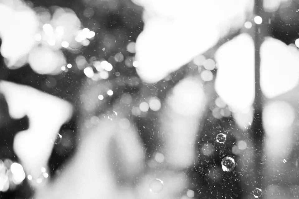 Gaelle Boissavi — photo 3