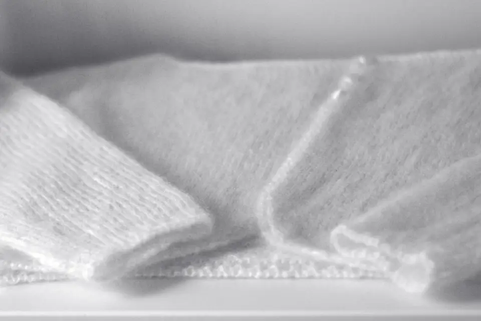 Wizlaine — photo 7