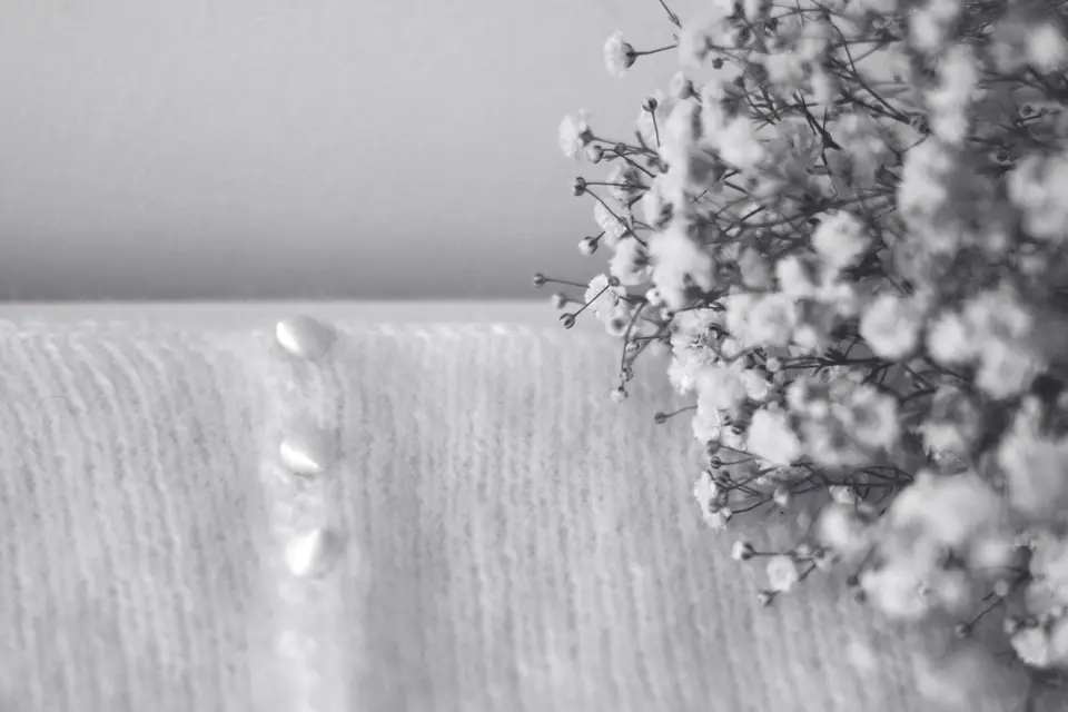 Wizlaine — photo 8