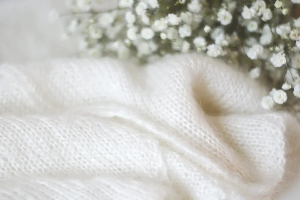 Wizlaine — photo 1