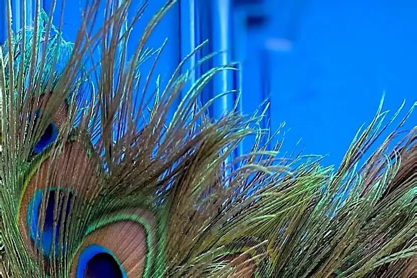 Cabinet Bleu Velours — photo 3