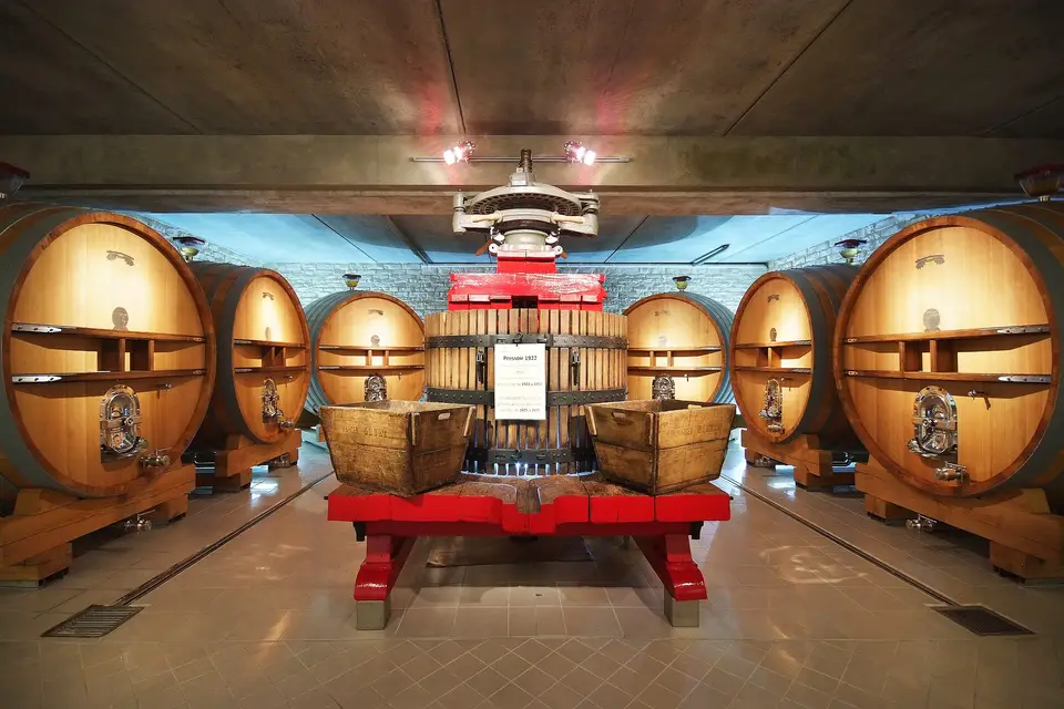 Champagne Gruet — photo 2