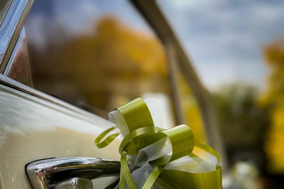 La Petite Caméra — photo 6