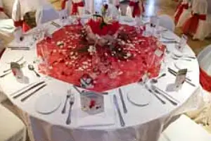 NB's Events — photo 5