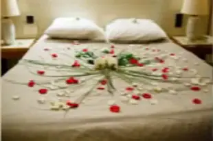 NB's Events — photo 6