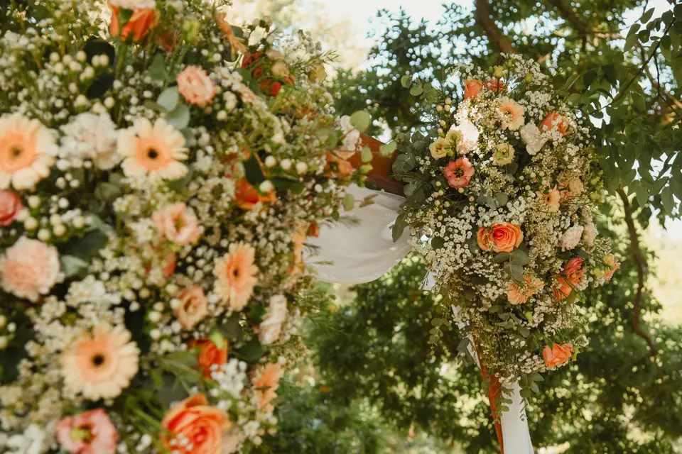 Les fleurs de Flavie — photo 4