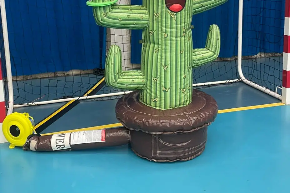 Les p’tites pousses — photo 7