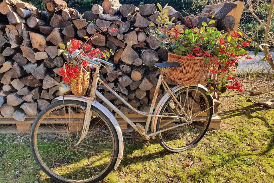 Bric à brac — photo 2