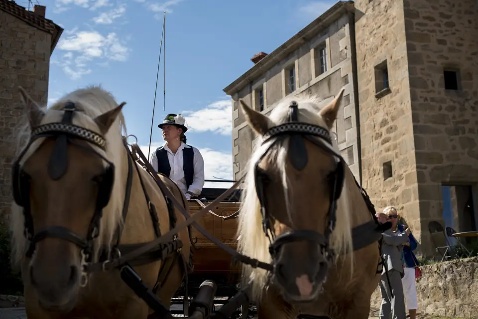 Ferme du Pre Fleuri - Attelages — photo 2