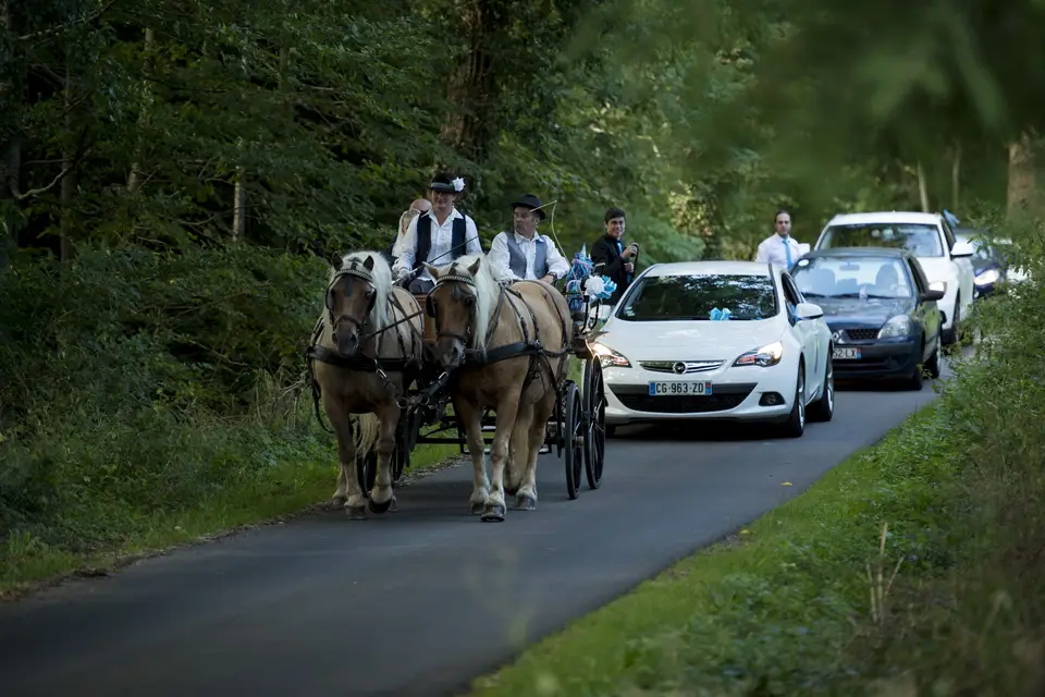Ferme du Pre Fleuri - Attelages — photo 4