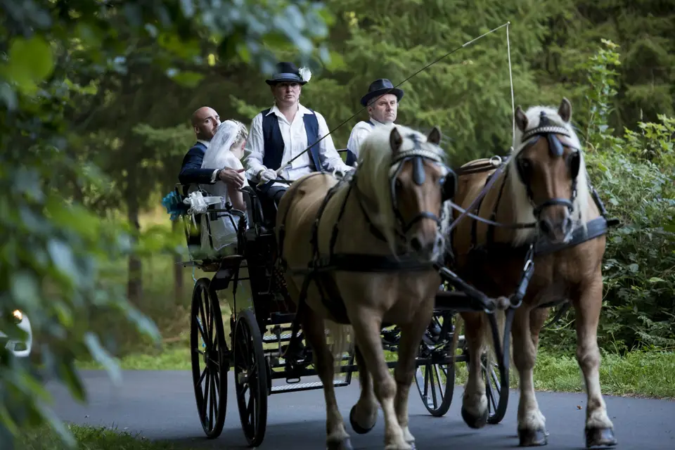 Ferme du Pre Fleuri - Attelages — photo 5
