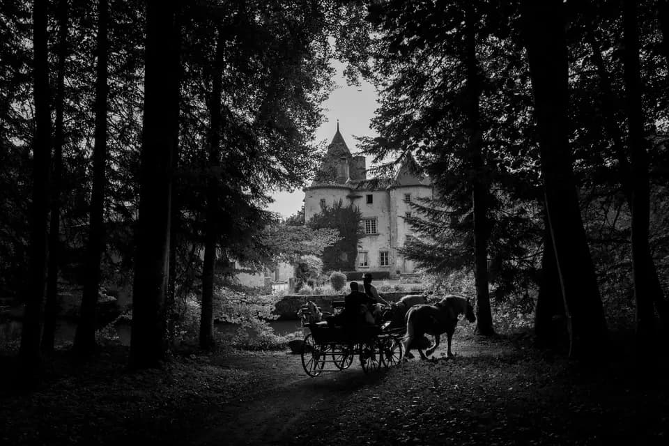 Ferme du Pre Fleuri - Attelages — photo 1