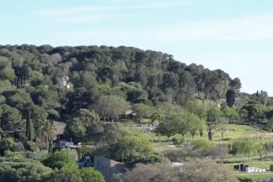 Loris Bossé — photo 3