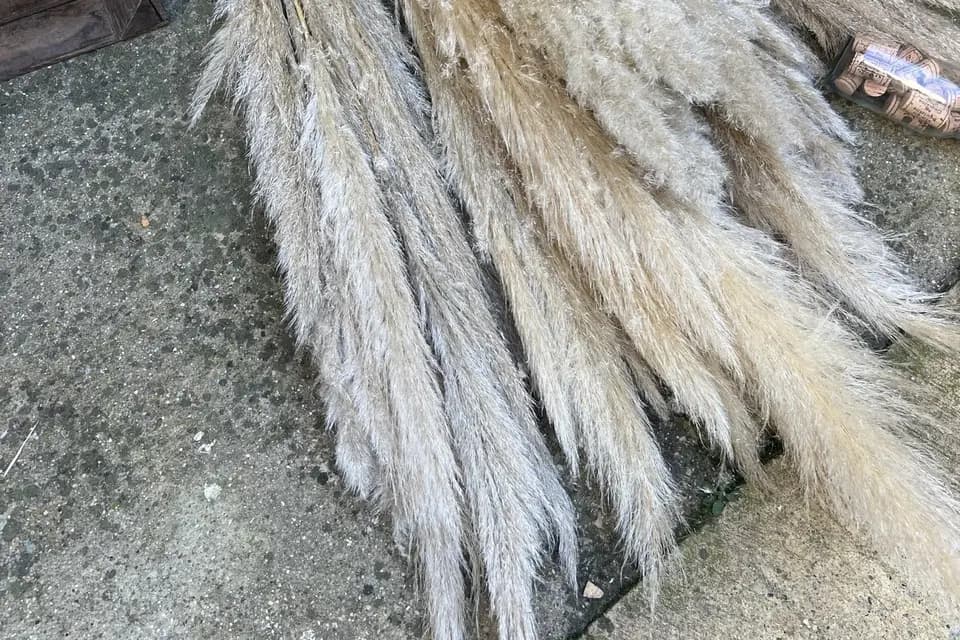 Les Petits Lou Décoration — photo 5