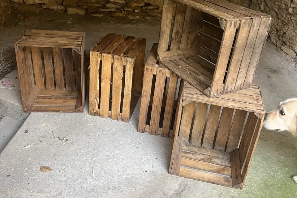 Les Petits Lou Décoration — photo 1