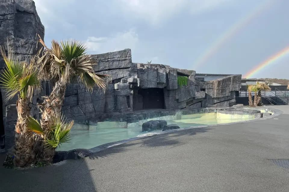 Ô Lagon — photo 7