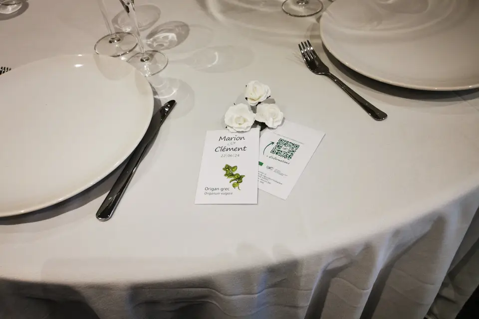 Lou Vayu — photo 8