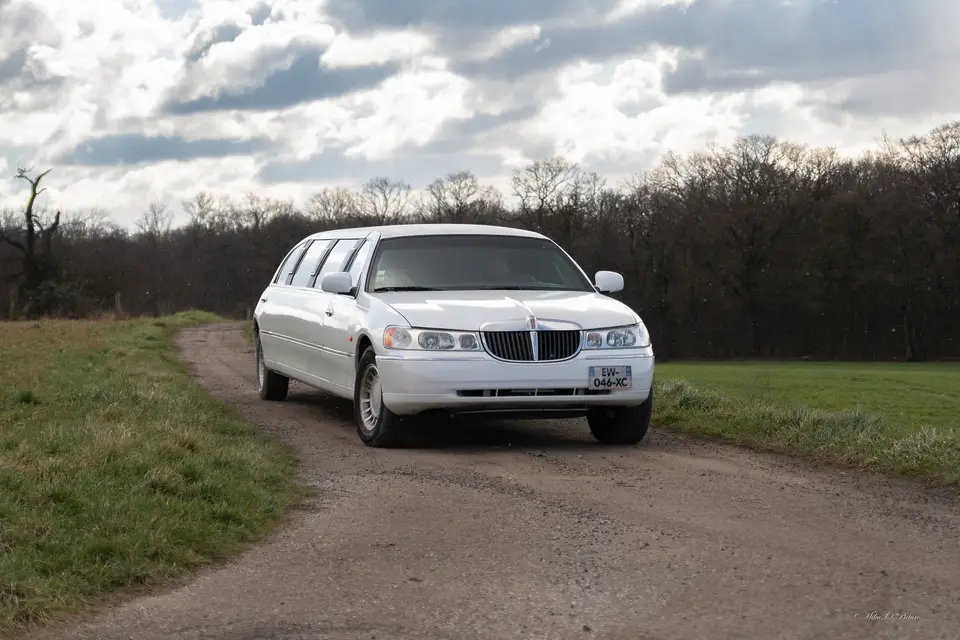 Stella Limousine — photo 5