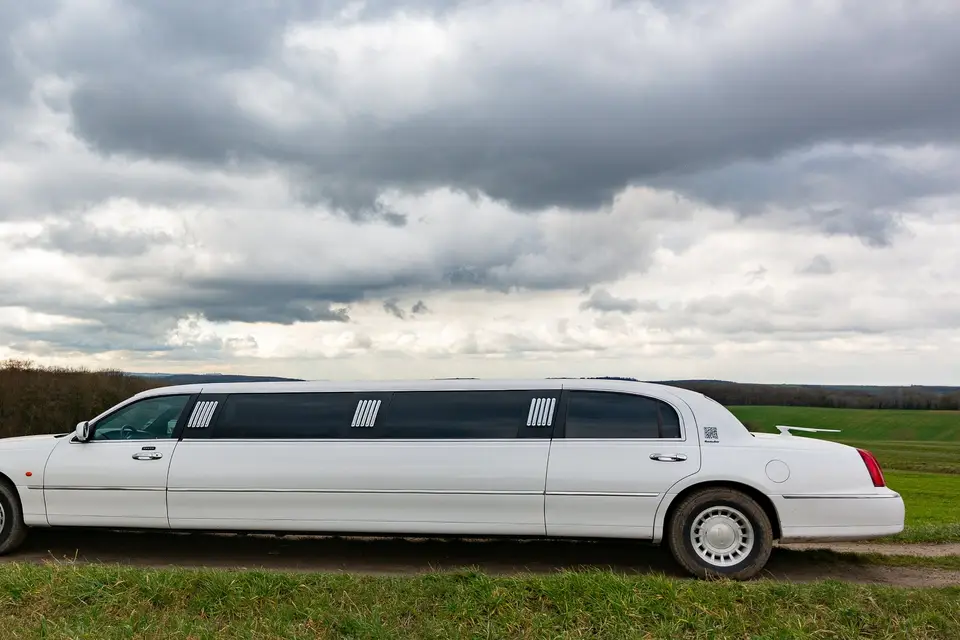 Stella Limousine — photo 7