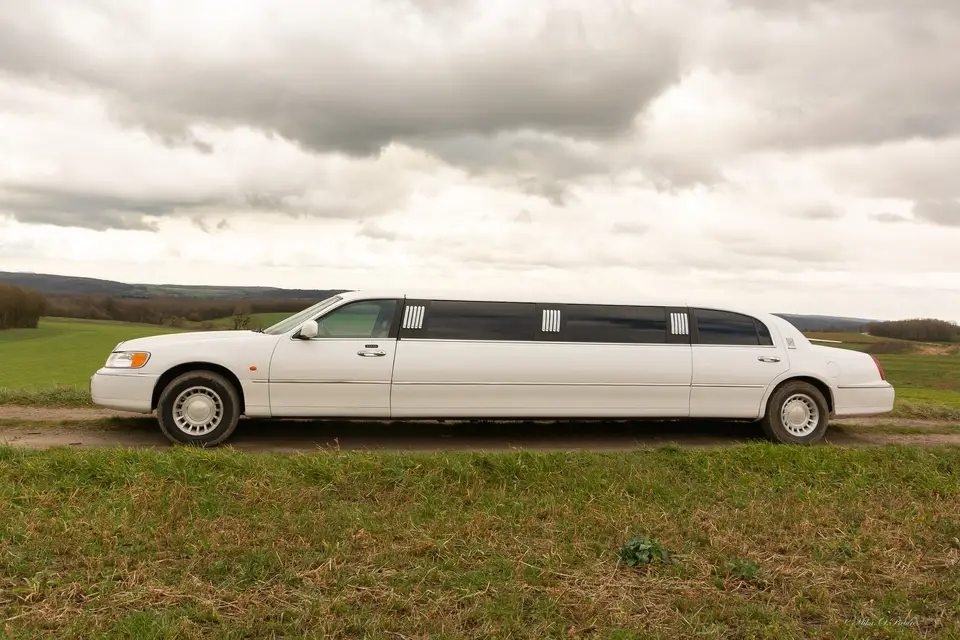 Stella Limousine — photo 2