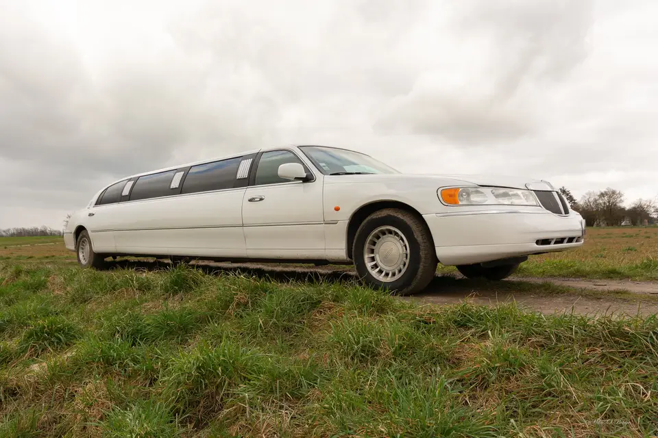 Stella Limousine — photo 3