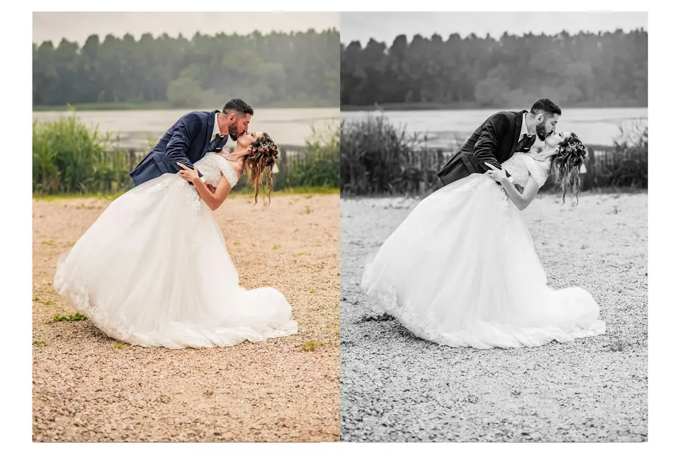 Moon and Poppies — photo 8