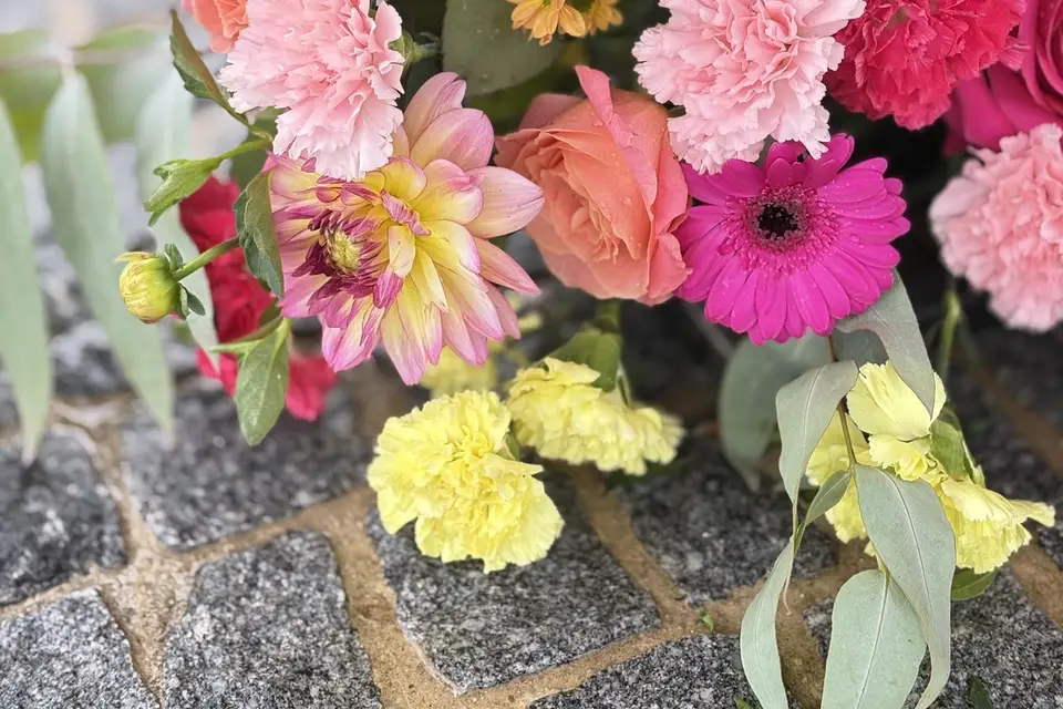 Eternel Dahlia — photo 4