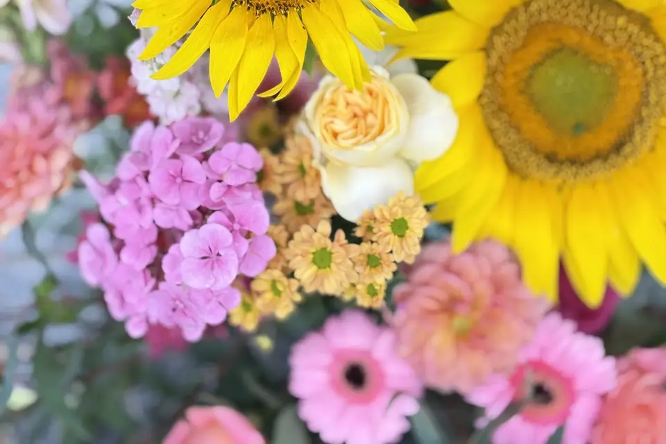 Eternel Dahlia — photo 3