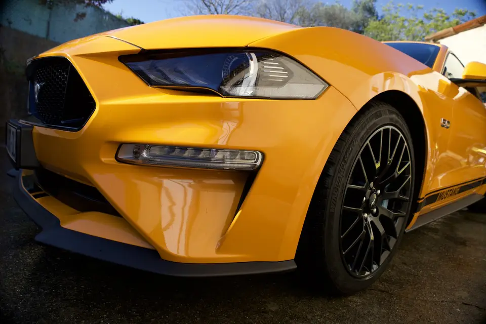 Rimoli Fiona — photo 7