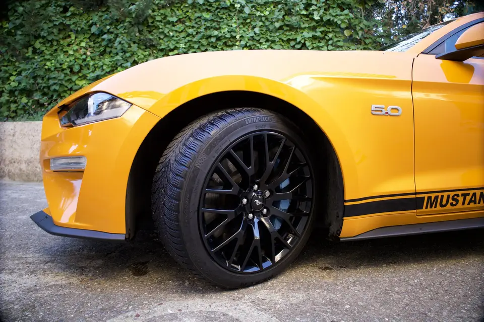 Rimoli Fiona — photo 8