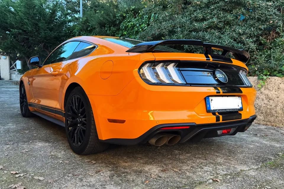 Rimoli Fiona — photo 1