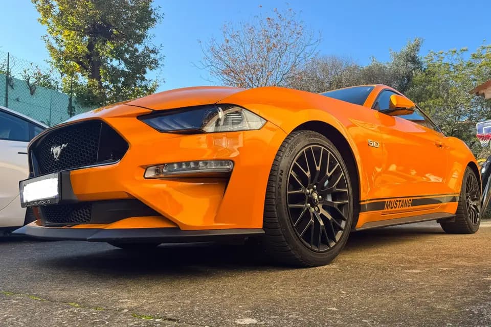 Rimoli Fiona — photo 2