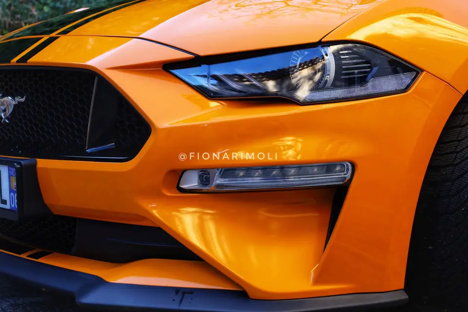 Rimoli Fiona — photo 5