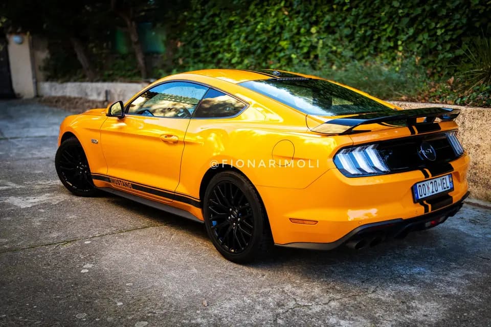 Rimoli Fiona — photo 6