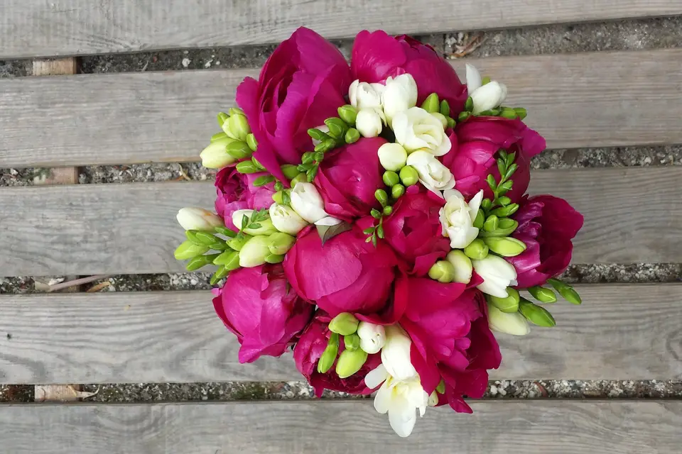 L'atelier d'Orianna — photo 5