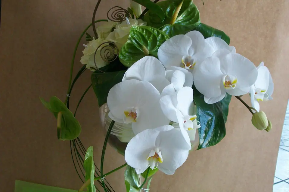 L'atelier d'Orianna — photo 4