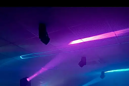 DJ Monkey — photo 1